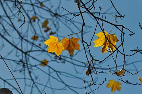 Symbolbild November